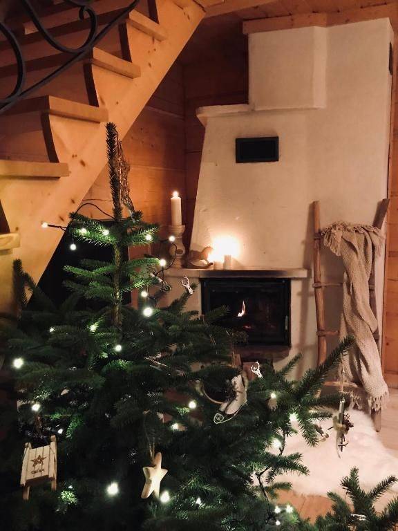 Фотографии номера Шале (для 6 взрослых) в  Domki w Białce 